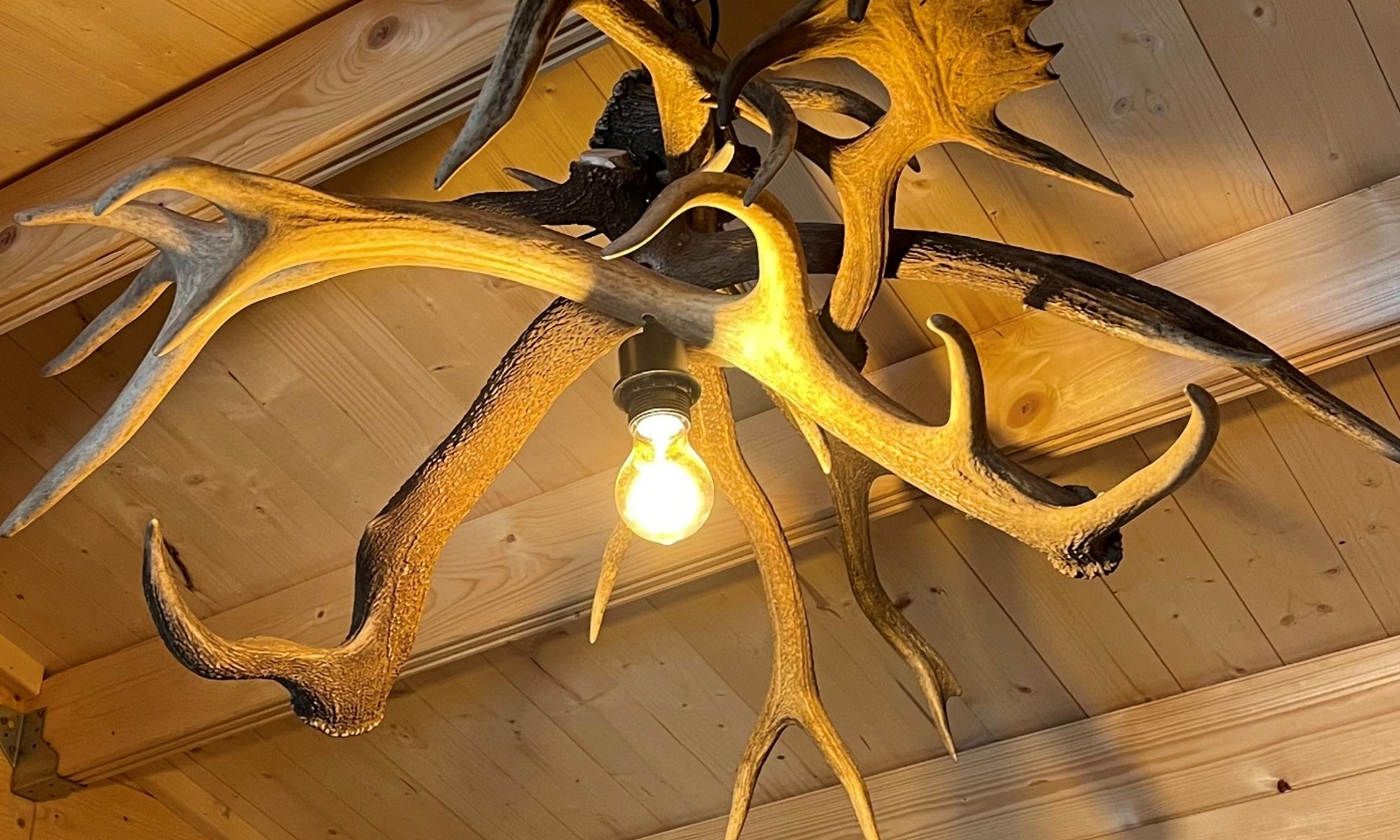 lamp