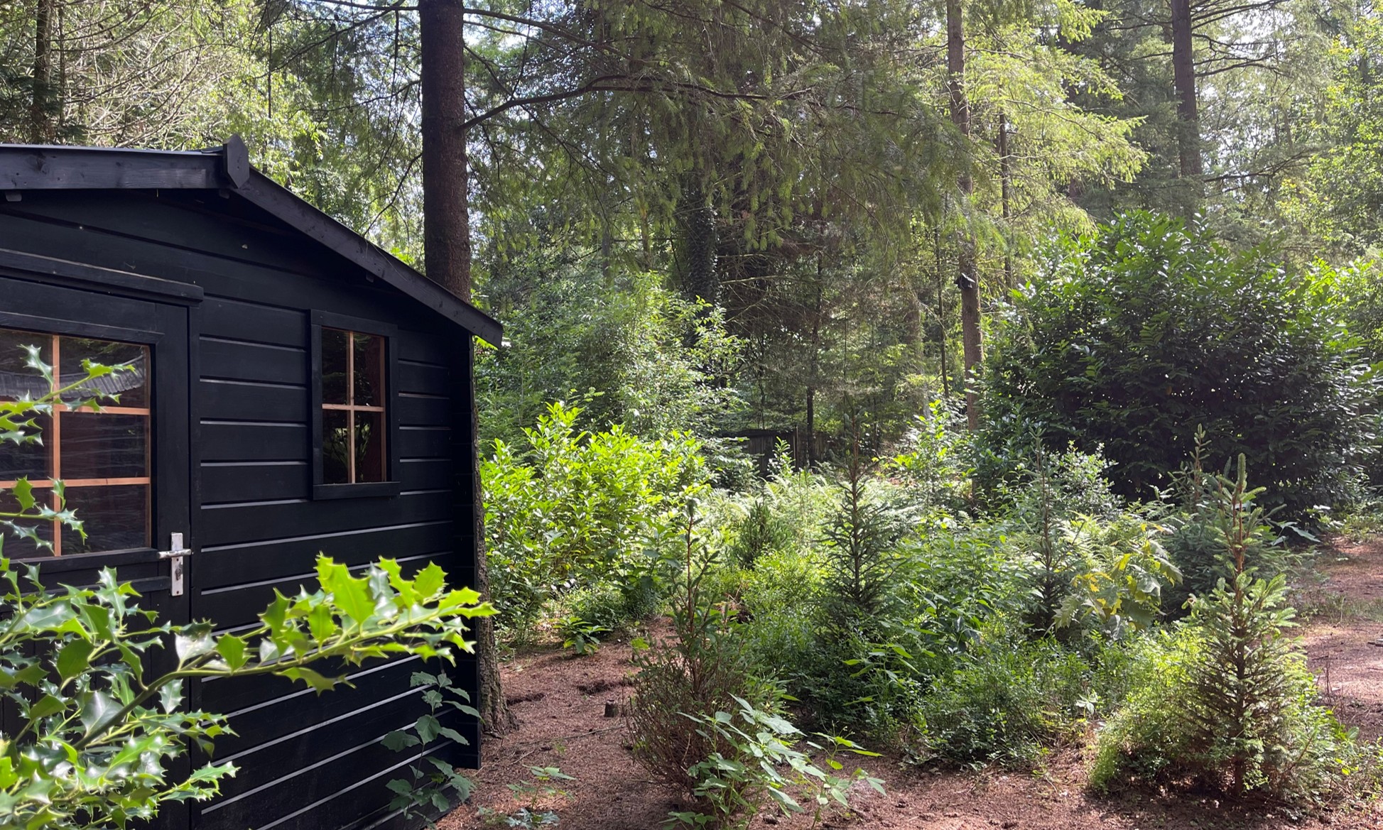 tuin